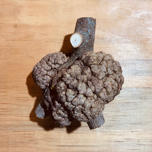 Large burls - 2 pack
