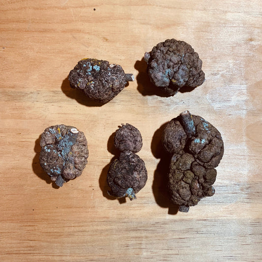 Medium burls - 5 pack
